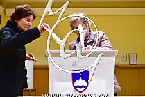 Volitve v Drzavni zbor 2022