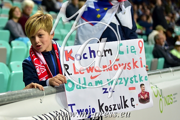 Poljski navijac