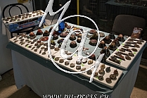 MINERAL EXPO