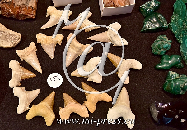 46. MINFOS, fosili zobi, malahit