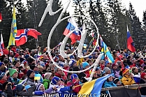 Slovenski navijaci