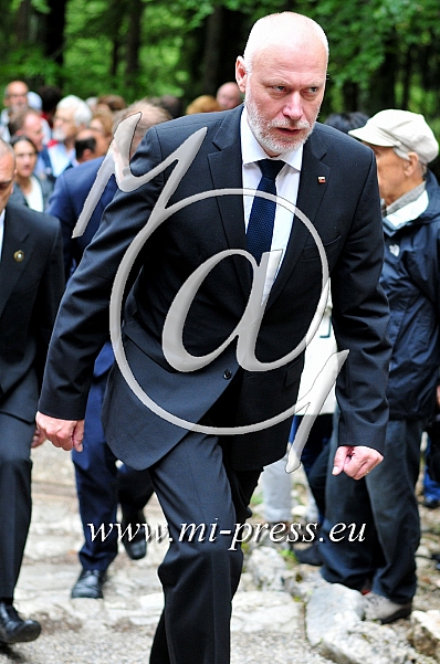 Prime Minister of the Russia Dmitry Medvedev in Slovenia