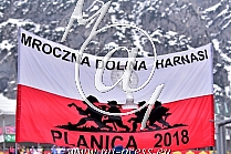 Poland fans occupied Planica