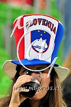Navijac Slovenije