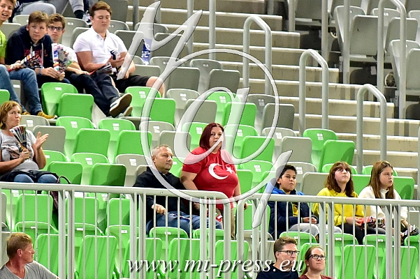 Turska navijacica