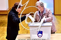 Volitve v Drzavni zbor 2022
